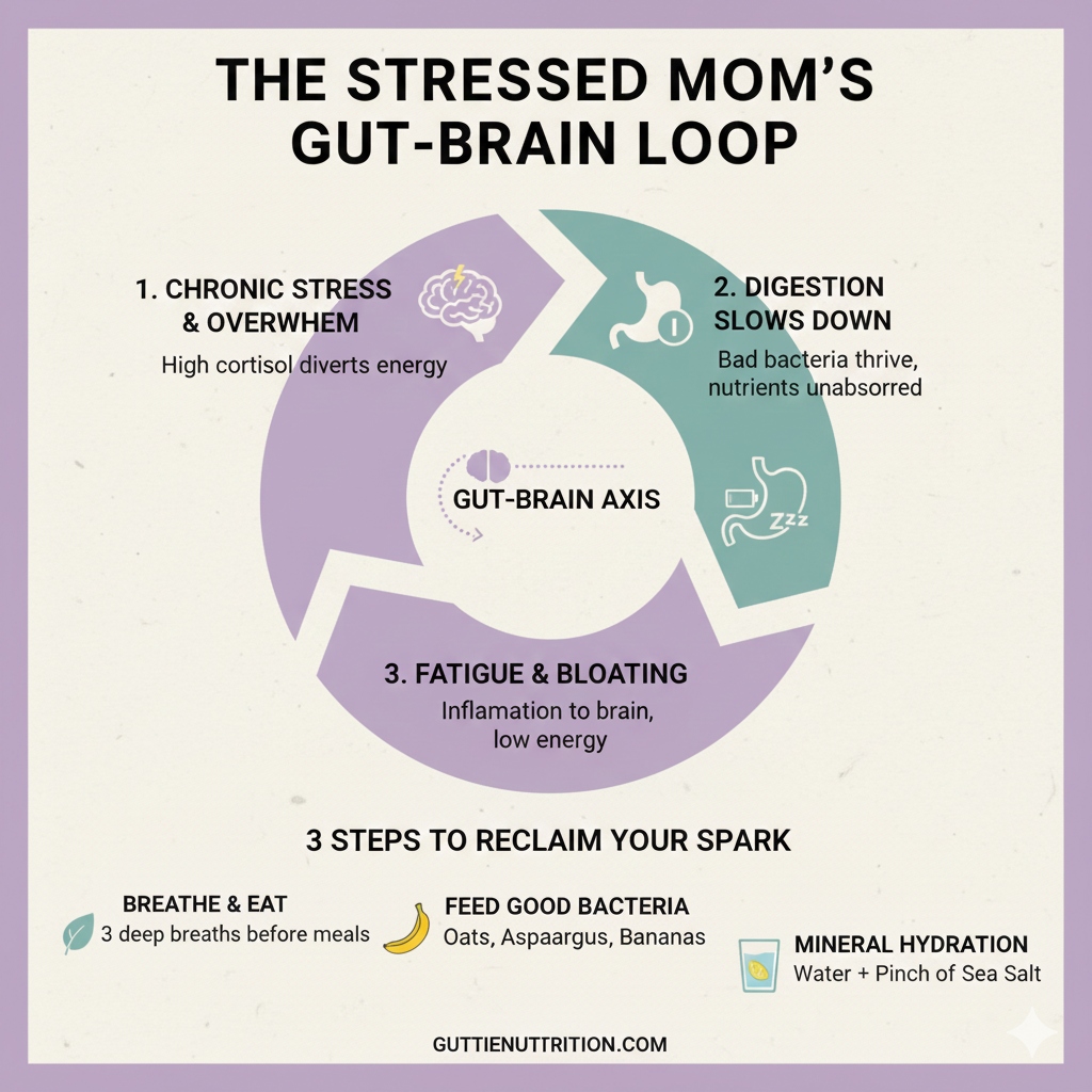 The Stressed Mom's Gut-Brain Loop Infographic